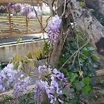 La Maison Du Bord De Loire Nyaraló