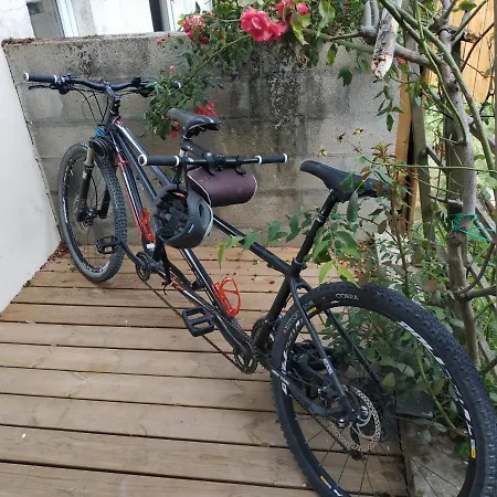 La Maison Du Bord De Loire بيت للعطل