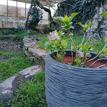 La Maison Du Bord De Loire * أونسني