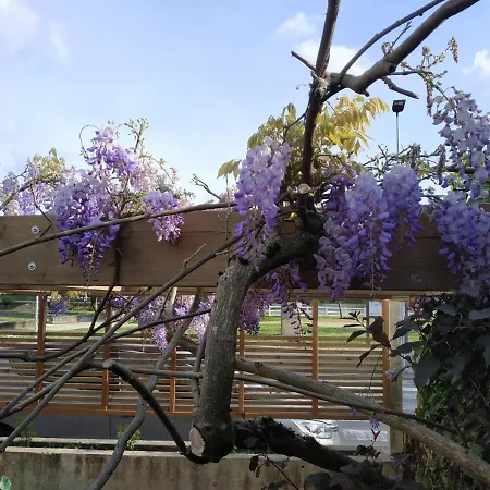 La Maison Du Bord De Loire Ferienhaus *