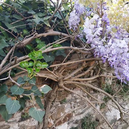 La Maison Du Bord De Loire Holiday home *