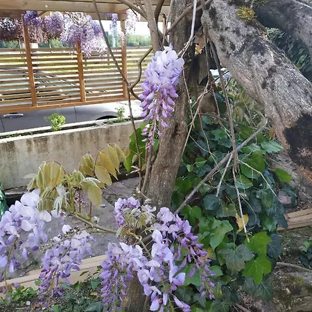 La Maison Du Bord De Loire بيت للعطل