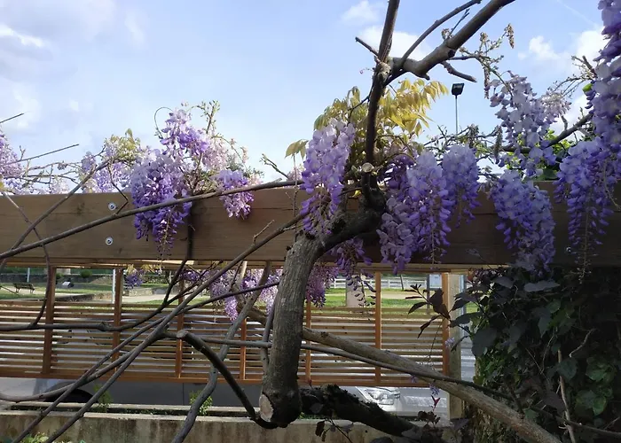 La Maison Du Bord De Loire Casa de Férias *