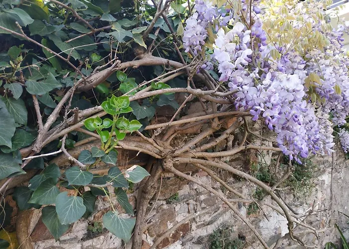 La Maison Du Bord De Loire Σπίτι διακοπών *